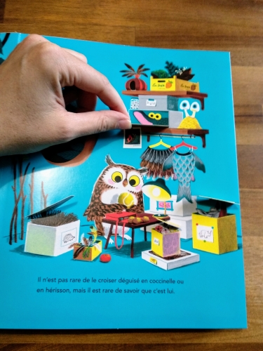 album,pop-up