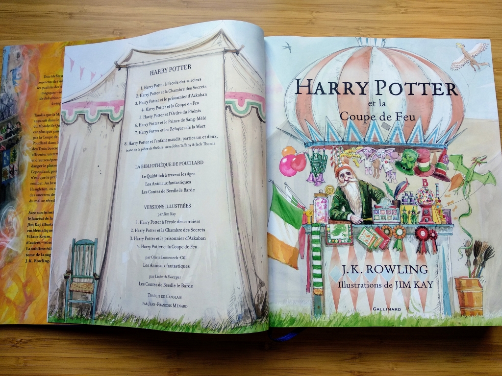 HARRY POTTER TOME 6 : HARRY POTTER ET LE PRINCE DE SANG-MELE, Rowling J.K.  pas cher 