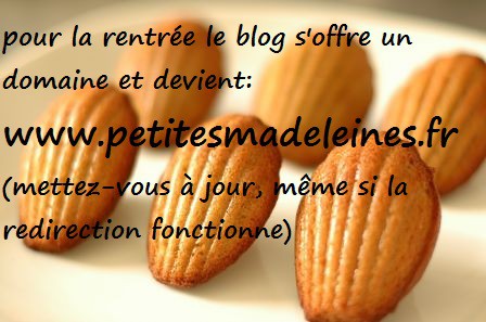 petitesmadeleines.fr.jpg